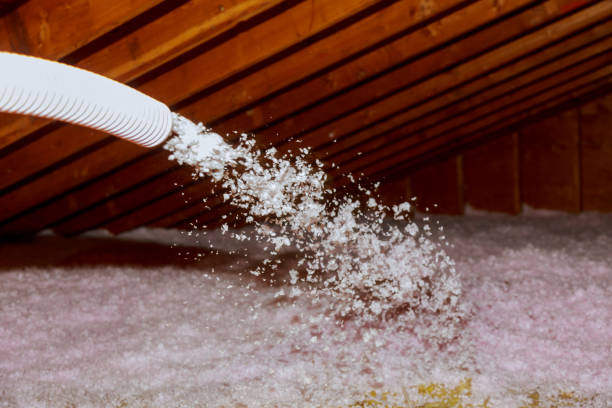 Best Spray Foam Insulation in Jasper, TX