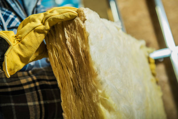 Best Eco-Friendly Insulation in Jasper, TX