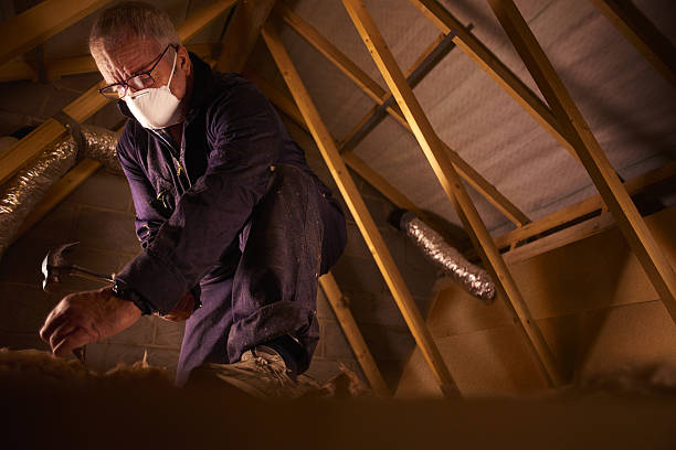 Best Specialized Insulation Services in Jasper, TX