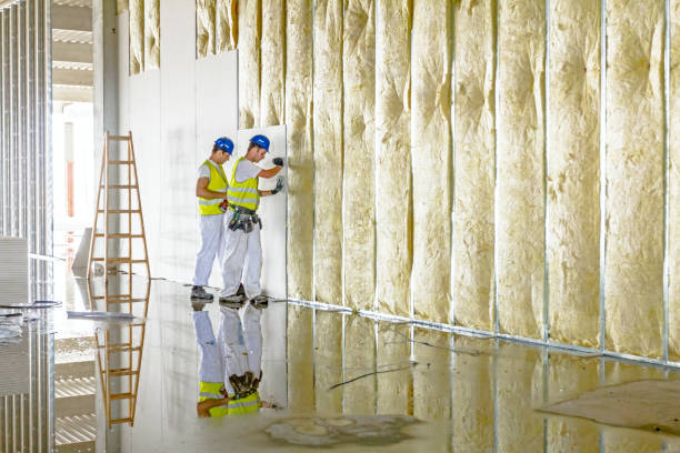 Best Blown-in Insulation in Jasper, TX